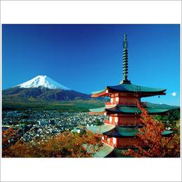 日本百年企业考察