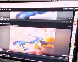 一键生成“换脸”视频作品 真假难辨的AI内容该如何监管？