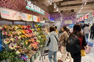 盒马鲜生开到泰山脚下 3200㎡空间引爆泰安消费热潮