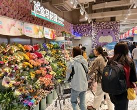 盒马鲜生开到泰山脚下 3200㎡空间引爆泰安消费热潮