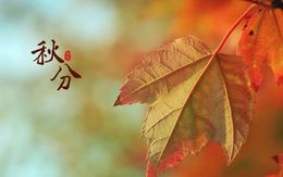 维艺尚品门窗秋天到，揽景进家门