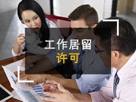 工作居留许可