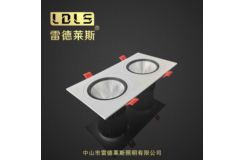 LDST-1双头射灯