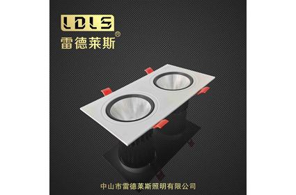 LDST-1双头射灯