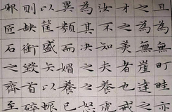 包河苑校区钱小洪老师作品