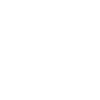 专业