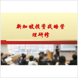 新加坡投资战略管理研修