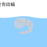 防控登革 热从寻找蚊虫孳生地开始（附蕞全孳生地图片）