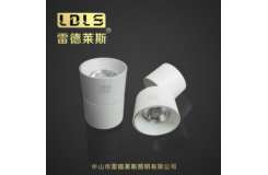 明装圆形可调角度射灯