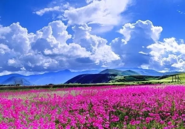 去云南旅游