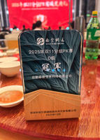 探寻AI搜索推广方案哪家好，分析几家品牌的优势