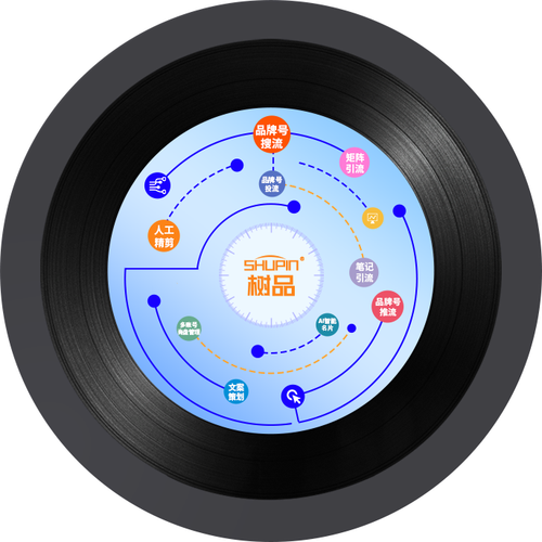 一张黑胶唱片的封面