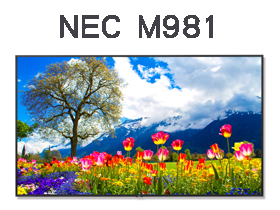 NEC M981
