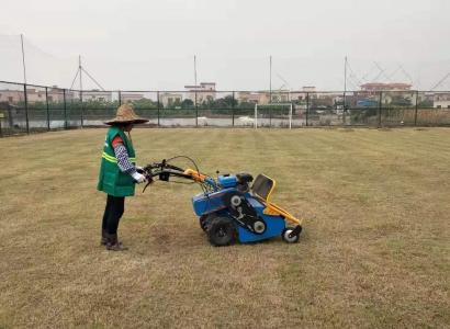 足球場草坪修剪工程