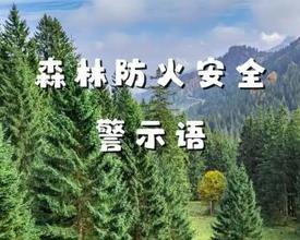 部署森林防火安全工作，杜绝各类火源进山