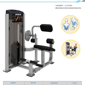 C011_CHS背部拉伸機