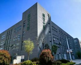 心系华夏，礼赞时光：盛世化彩向全球华人恭祝2026年新年快乐