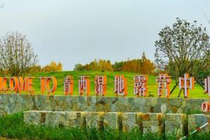 漫步林间栈道，上海这片水上森林迎来Z佳观赏期！