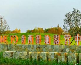 漫步林间栈道，上海这片水上森林迎来Z佳观赏期！