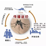 预防登革热