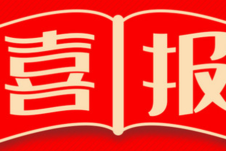 有限责任公司