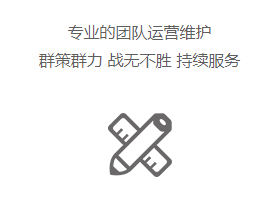 专业运营