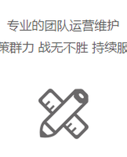 专业运营