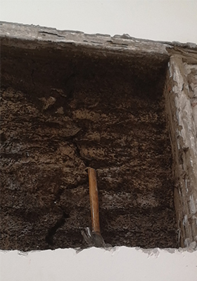 新鲜白蚁巢1.3米x1米