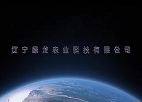 遼寧綠龍