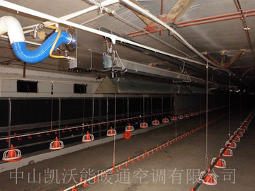 山東鳳祥劉廟雞場平養雞舍保溫使用低密度管式正壓輻射采暖設備（LTS系列）