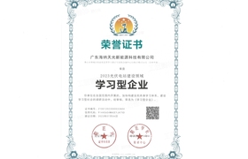 Learning‑oriented Enterprise