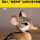 ​【热点聚焦】冷培恩：“鼠头鸭脖风波”对虫控行业的几点思考