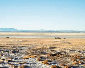 从羌塘到阿尔金山，守护同一片碧水蓝天