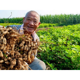 花生如何使用叶面肥，叶面肥喷施的小技巧