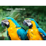 静电对UV打印机的影响有多大？