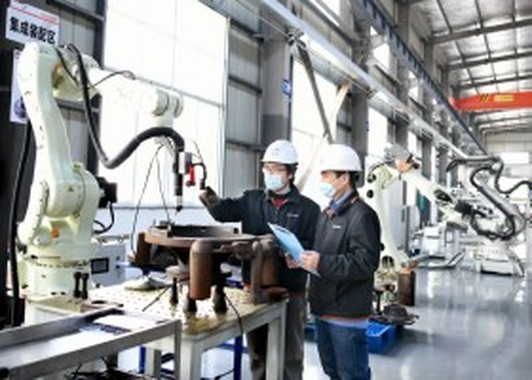 company profile