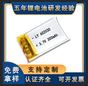 1260110软包电芯