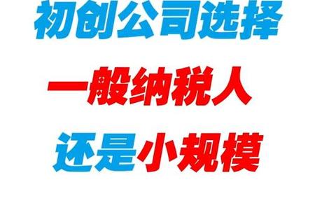 初始公司选择一般纳shui人还是小规模