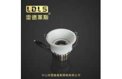 纳斯里射灯