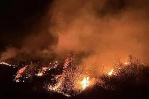 4月北京森林火灾风险较高 需关注大风、沙尘等影响