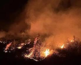 4月北京森林火灾风险较高 需关注大风、沙尘等影响