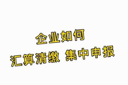 企业如何 汇算清缴  集中申报