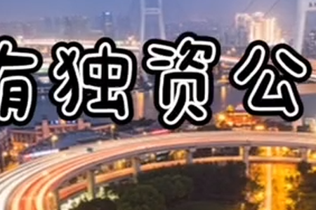 我们这一期来了解一下国有独资公司
