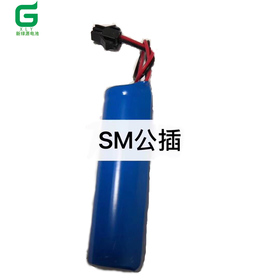 SM公插
