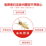 如何防治白蚁的危害