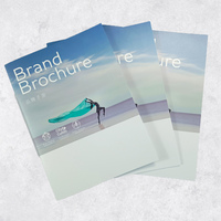 美容院宣傳畫(huà)冊(cè)定制 醫(yī)美行業(yè)產(chǎn)品手冊(cè) 皮膚管理 / 整形美容宣傳冊(cè)印刷