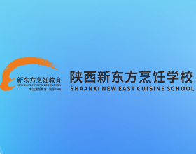 陕西新东方