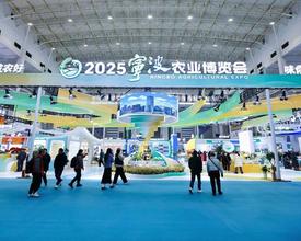 2025宁波农博会盛大开幕！奉化西坞农文旅融合绽放新光彩