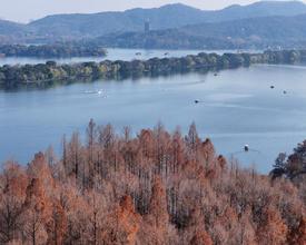 新年要下雪了！强冷空气这天抵达，气温持续零下