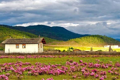 云南旅游